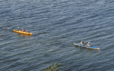 Canoe kayak saint omer